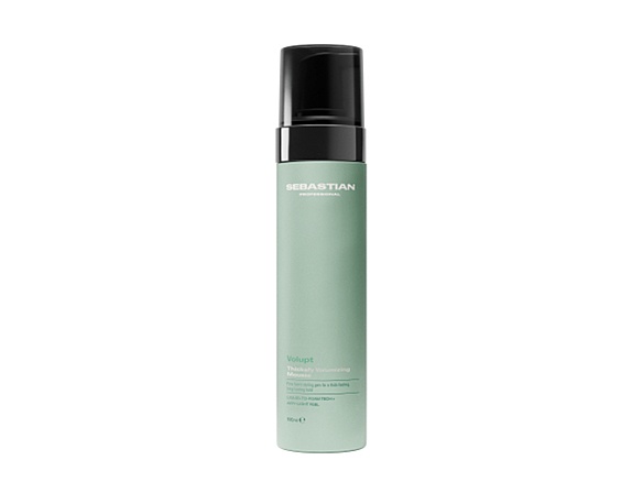 【SEBASTIAN】シックファイフォーム 190ml