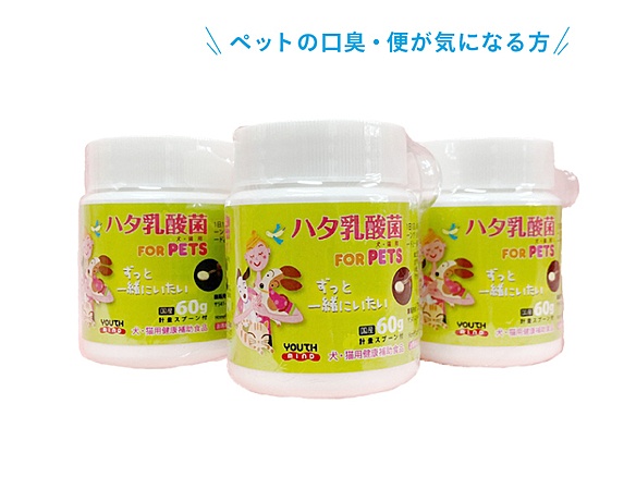 ハタ乳酸菌　forPETｓ　60g　3個セット
